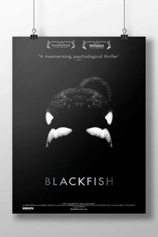 BLACKFISH (the 2013 documentary film) Blackfish - Animal Rights Poster