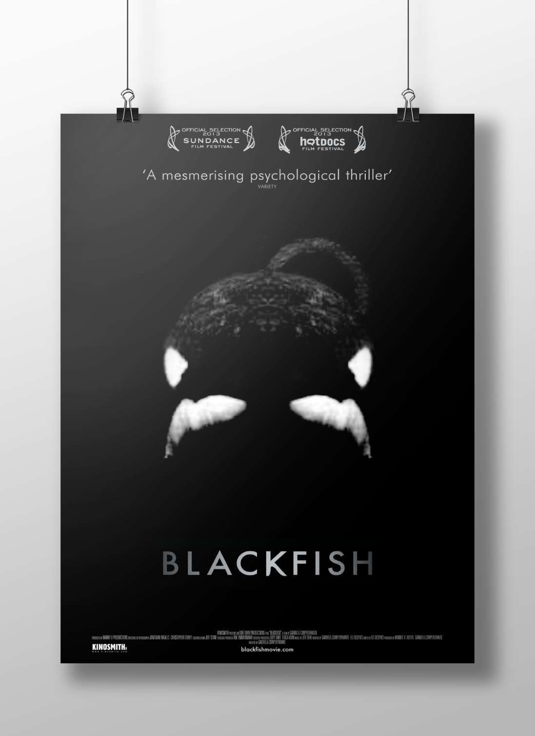 BLACKFISH (the 2013 documentary film) Blackfish - Animal Rights Poster
