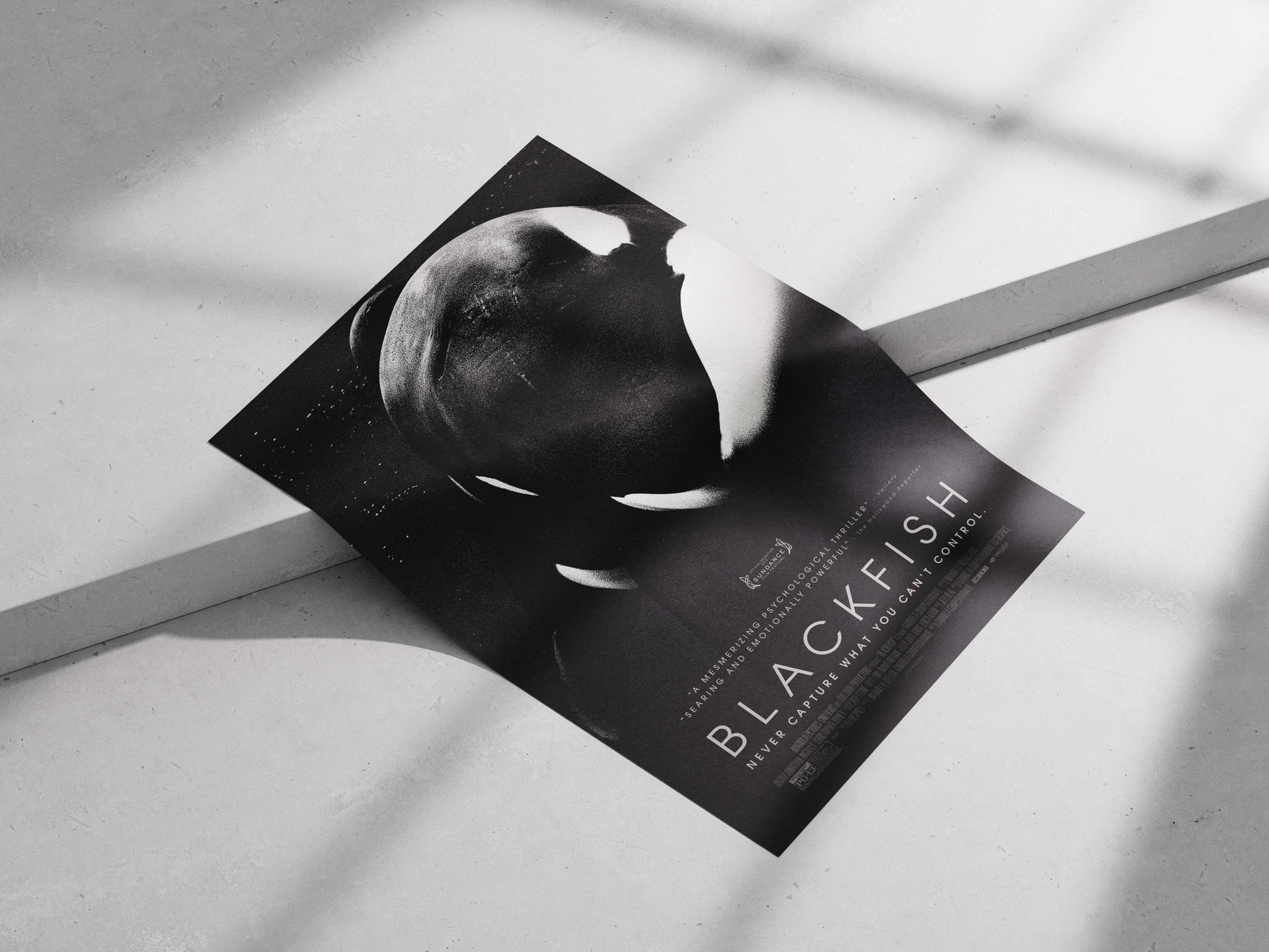 The documentary film "Blackfish" Blackfish - Ethical Activism Poster