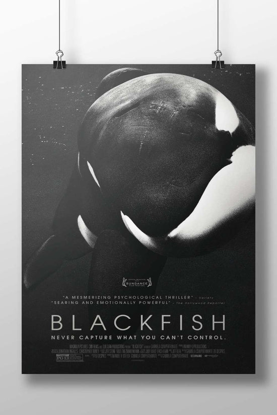 The documentary film "Blackfish" Blackfish - Ethical Activism Poster