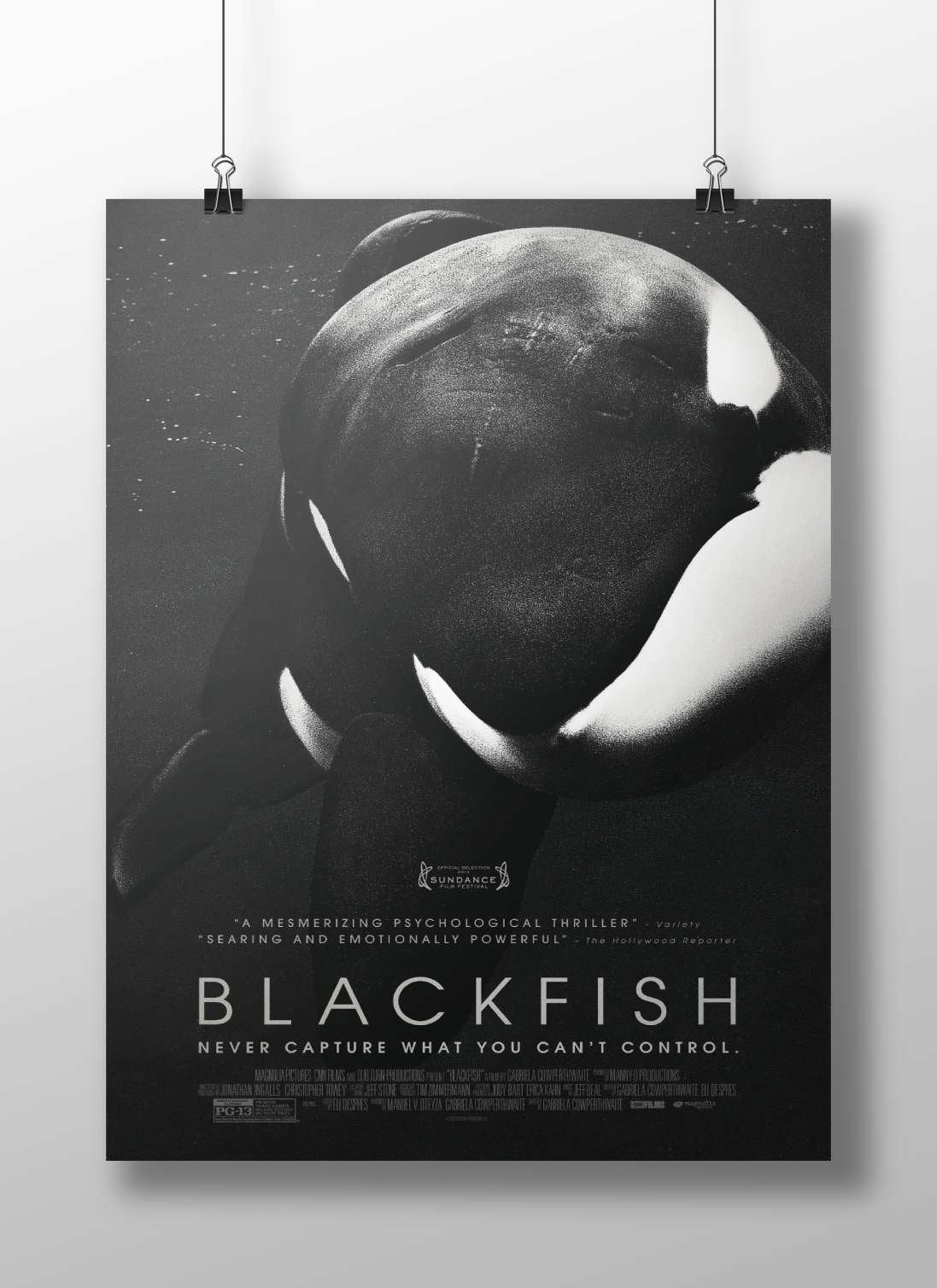 The documentary film "Blackfish" Blackfish - Ethical Activism Poster