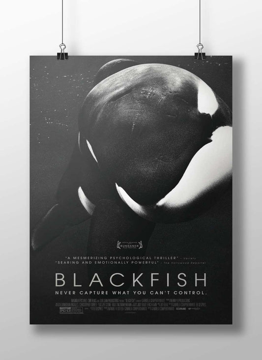 The documentary film "Blackfish" Blackfish - Ethical Activism Poster