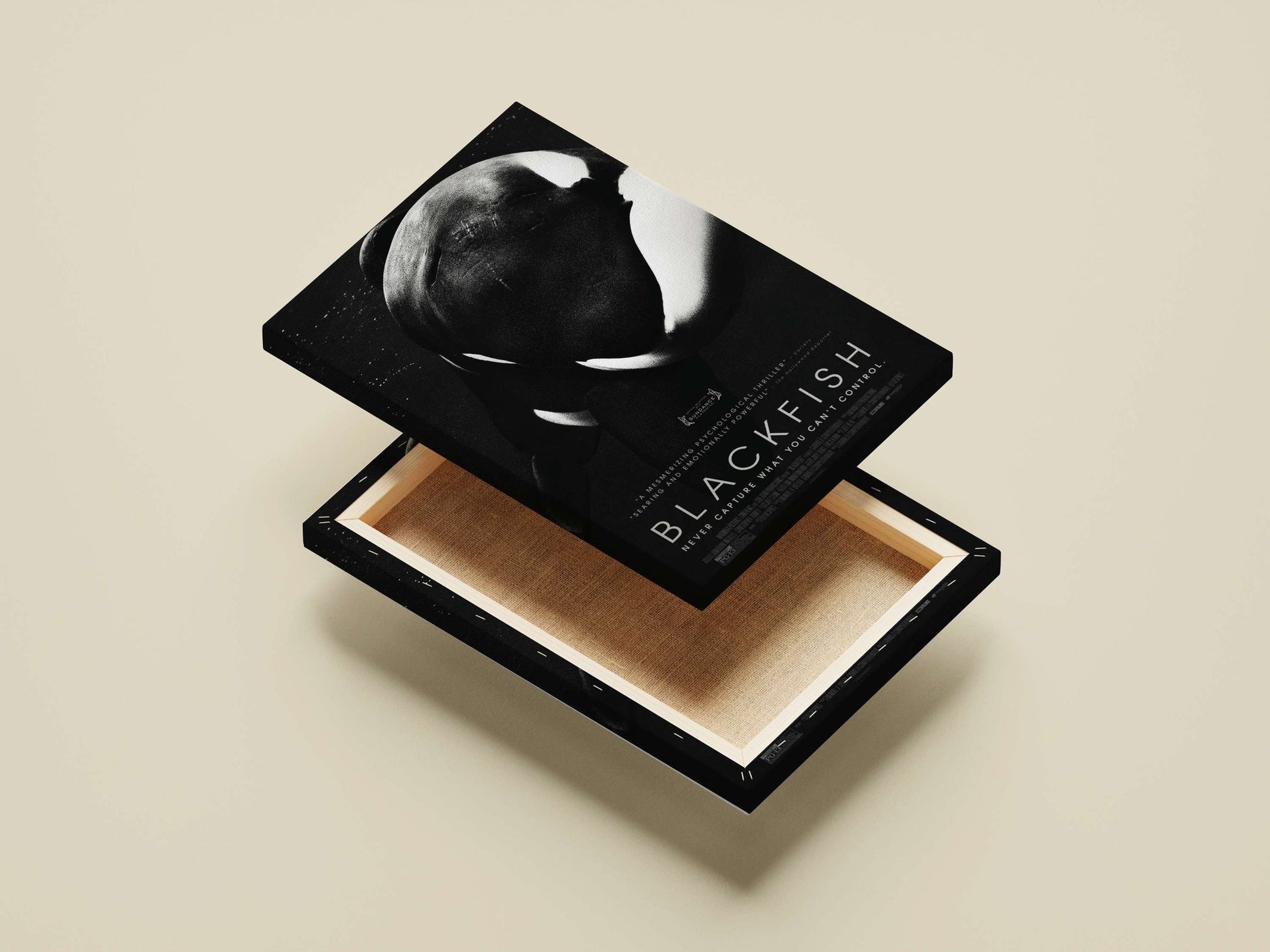 The documentary film "Blackfish" Blackfish - Ethical Activism Poster