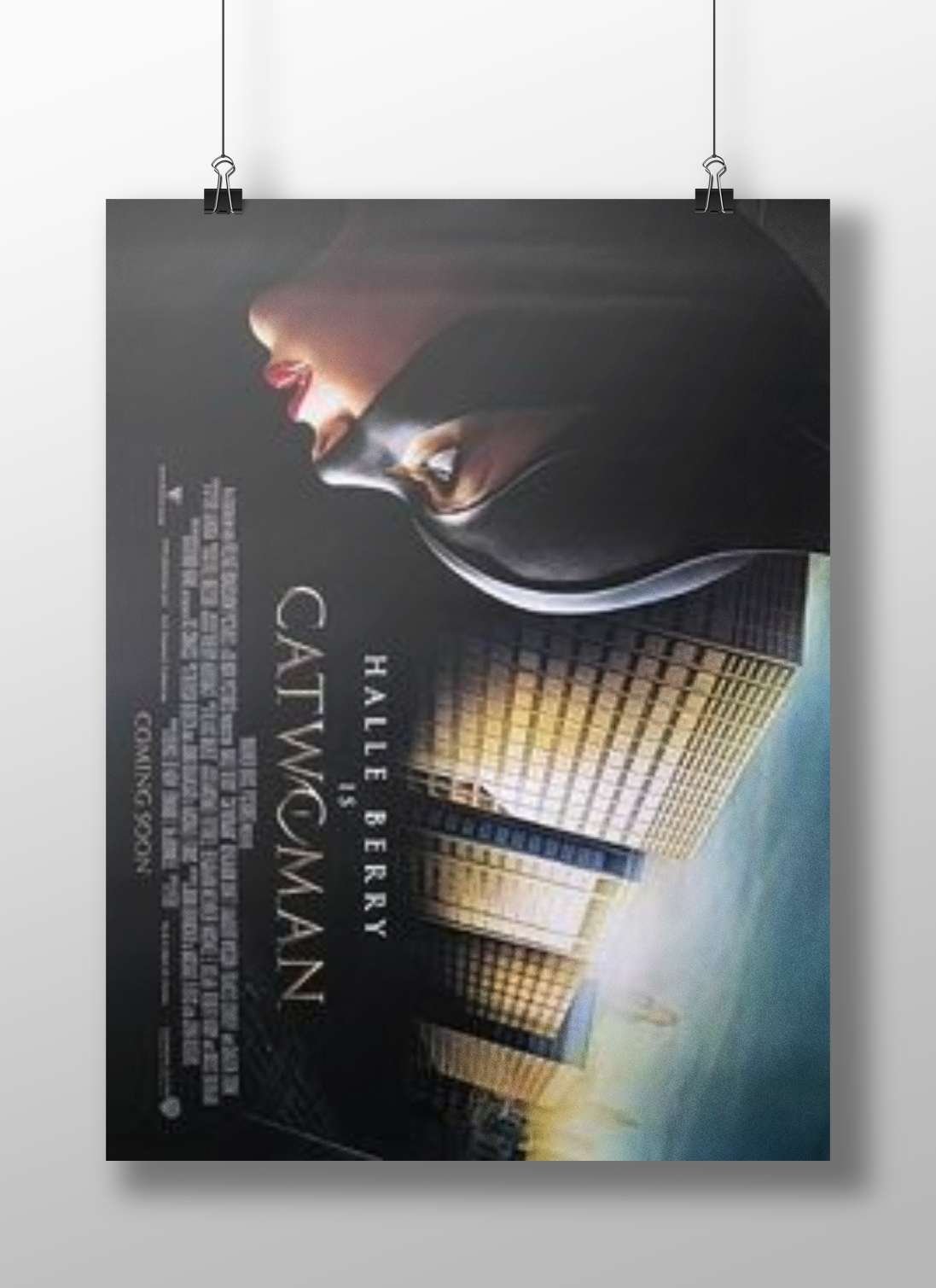 Catwoman (DC Comics) Catwoman Noir - Iconic Villain Poster