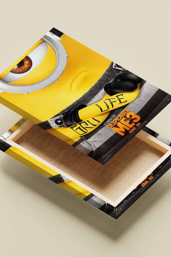 Minion from Despicable Me 3 (confirmed by Tesseract OCR text "ILLUMINATION PRESENTS DESPICABLE ME3"). Gru'S