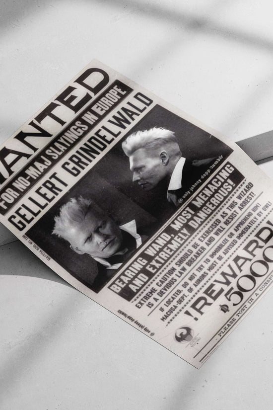 Gellert Grindelwald (from Harry Potter franchise) Gellert Grindelwald - Dark Sorcerer Poster