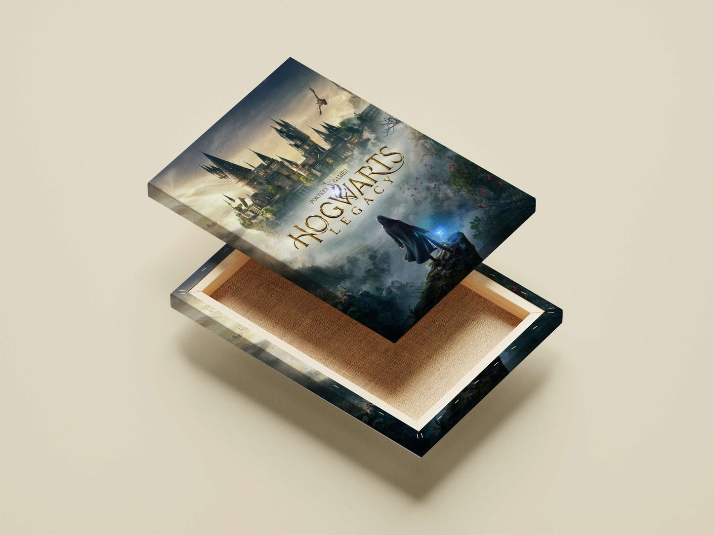 Hogwarts Legacy (a video game within the Harry Potter franchise) Main Subject: Hogwarts Legacy (a video game within the