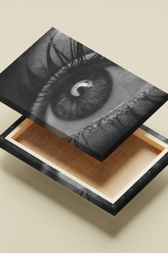 Optical Illusion Concentric Circles Pattern Poster – High-Contrast B&W Art