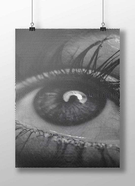 Optical Illusion Concentric Circles Pattern Poster – High-Contrast B&W Art