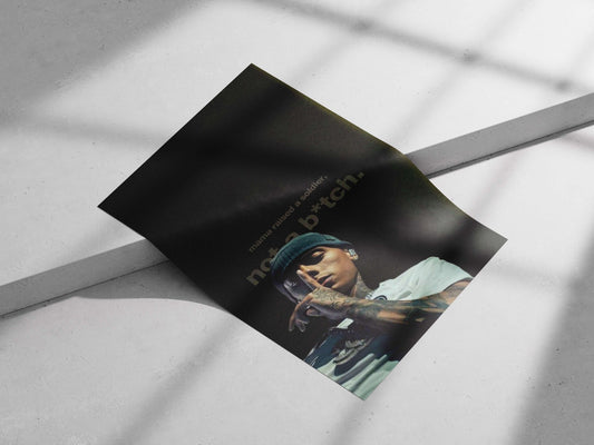 Eminem Main Subject: Eminem Matte poster print — Desi Hip Hop wall art India | PosterBoizz