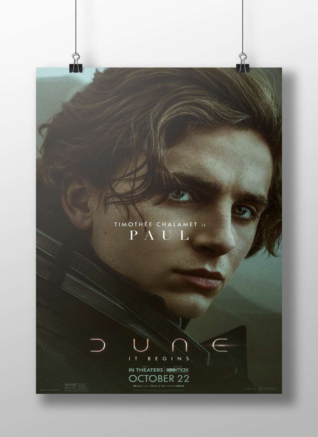 Paul from the Dune franchise Paul From The Dune - Desert Sage Poster