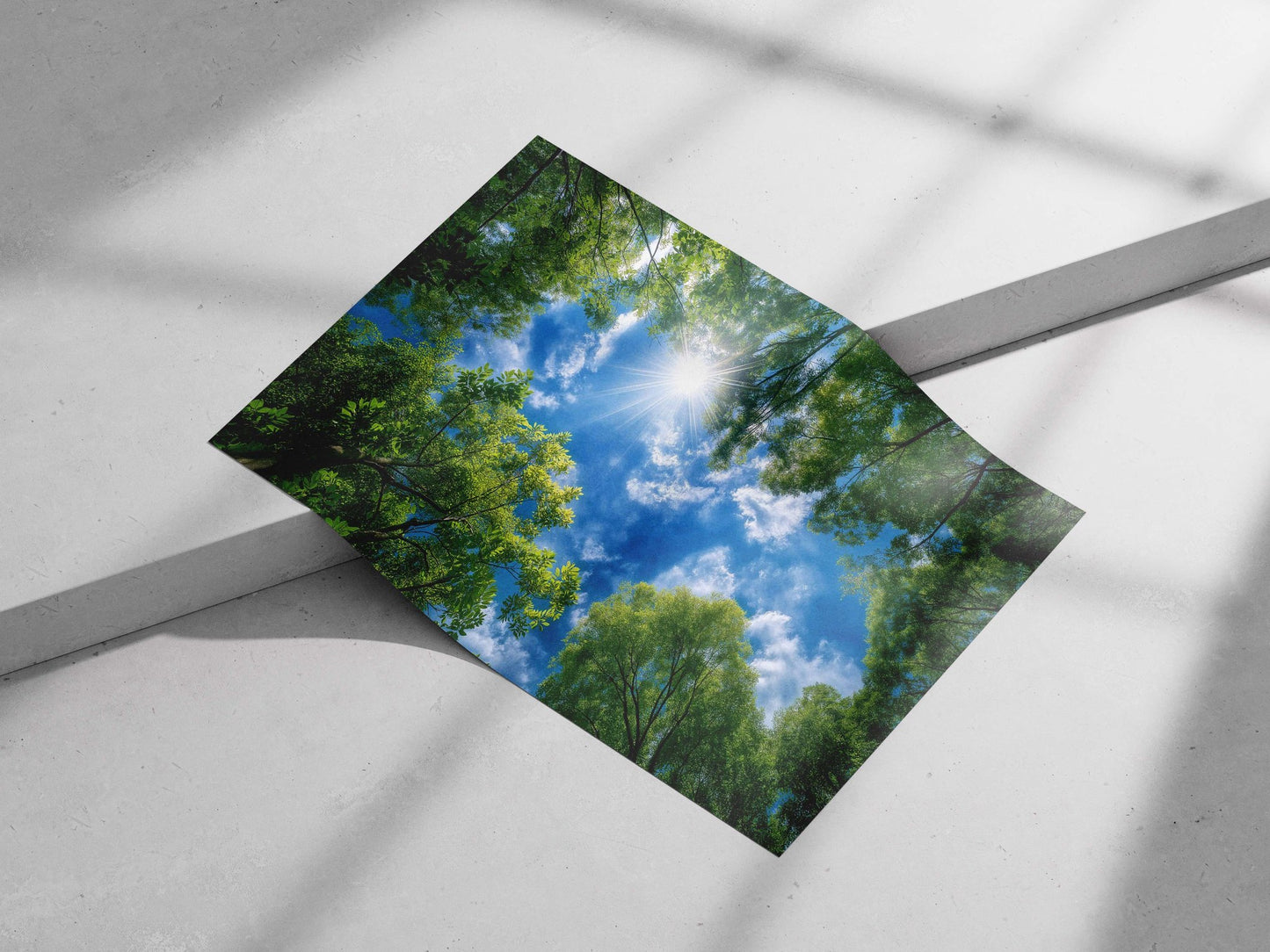 The dense green forest canopy with sunlight filtering through against a bright blue sky. Main Subject: The dense green