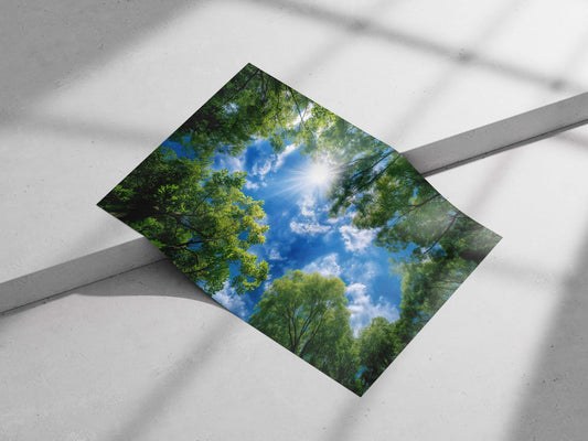 The dense green forest canopy with sunlight filtering through against a bright blue sky. Main Subject: The dense green