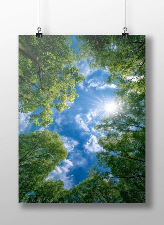 The dense green forest canopy with sunlight filtering through against a bright blue sky. Main Subject: The dense green