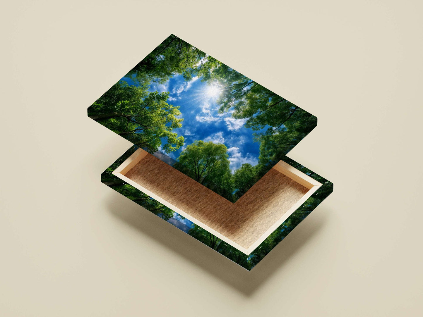 The dense green forest canopy with sunlight filtering through against a bright blue sky. Main Subject: The dense green