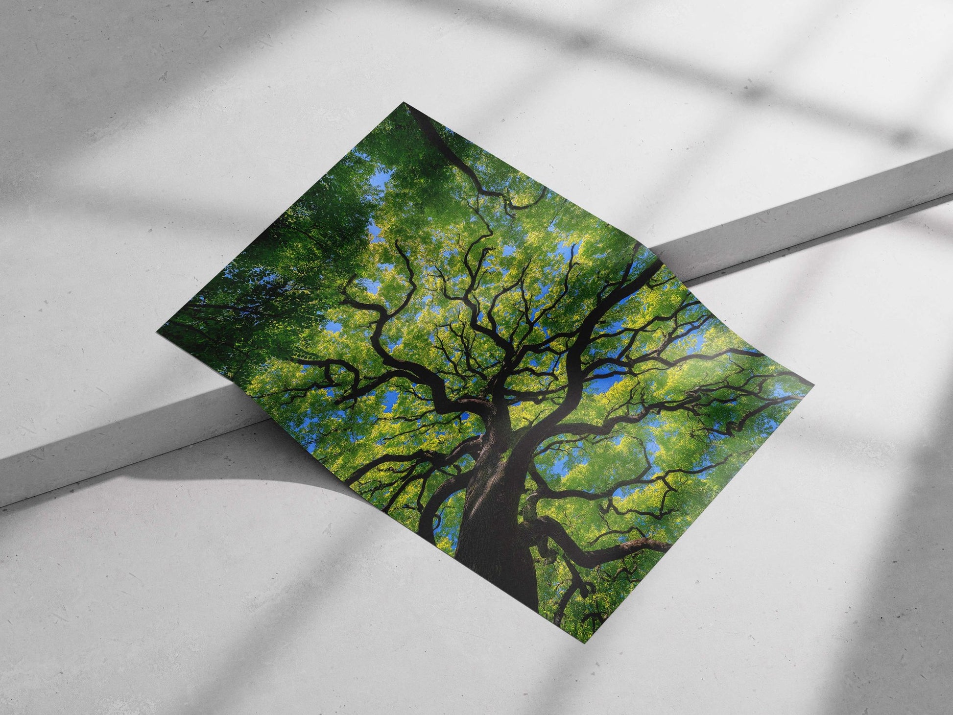 Modern Digital Photography Matte poster print — Art wall art India | PosterBoizz