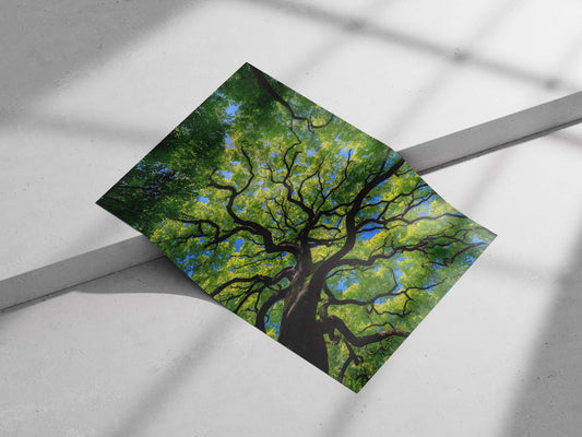 Modern Digital Photography Matte poster print — Art wall art India | PosterBoizz