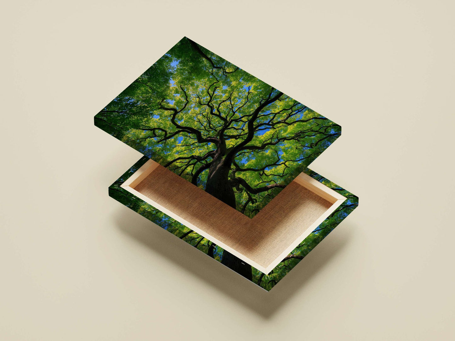 Modern Digital Photography Canvas wall art — Art wall art India | PosterBoizz