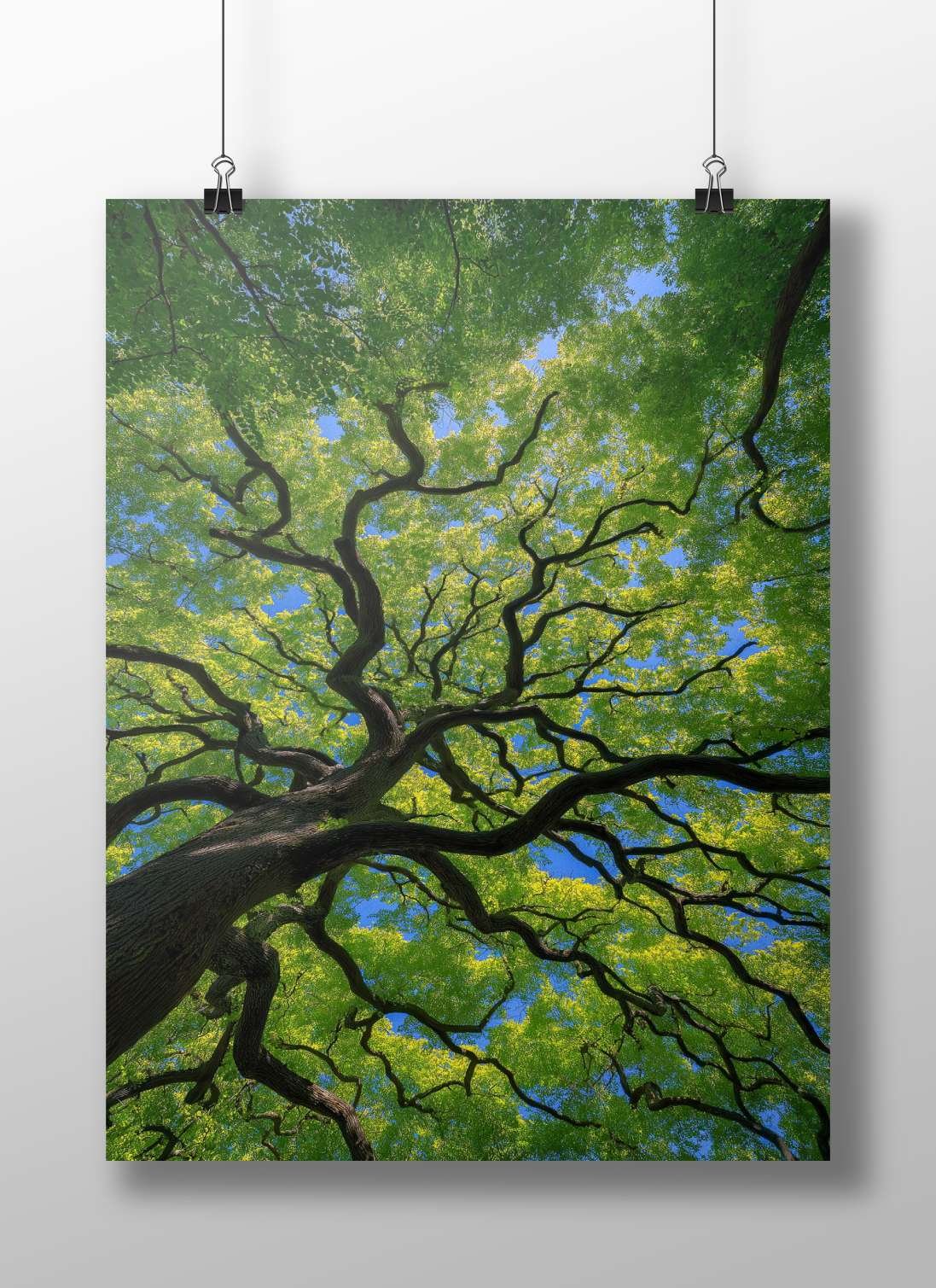 Modern Digital Photography Matte BoizzBoard rigid print — Art wall art India | PosterBoizz