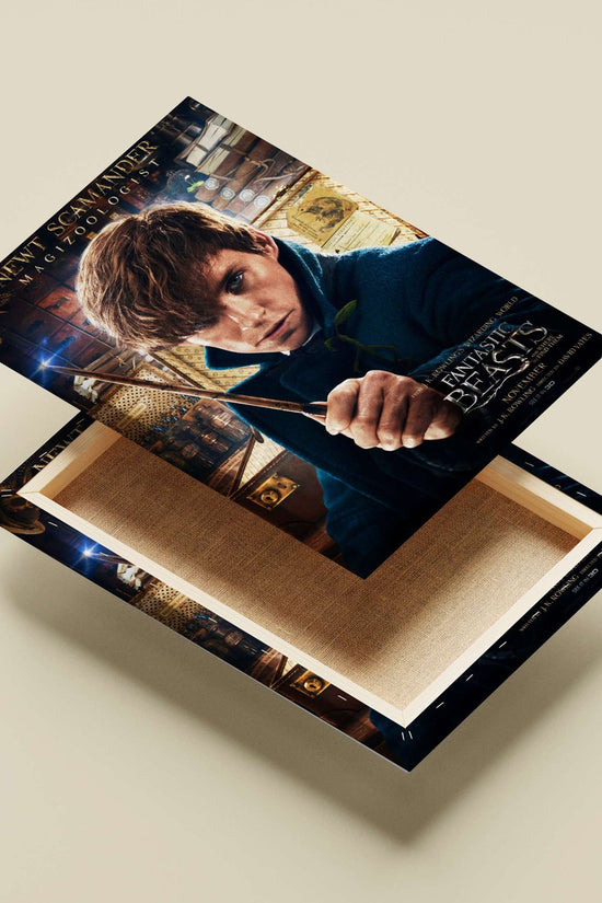 Newt Scamander, a character from the Fantastic Beasts franchise (confirmed by OCR text "NEWT SGAMANDER"