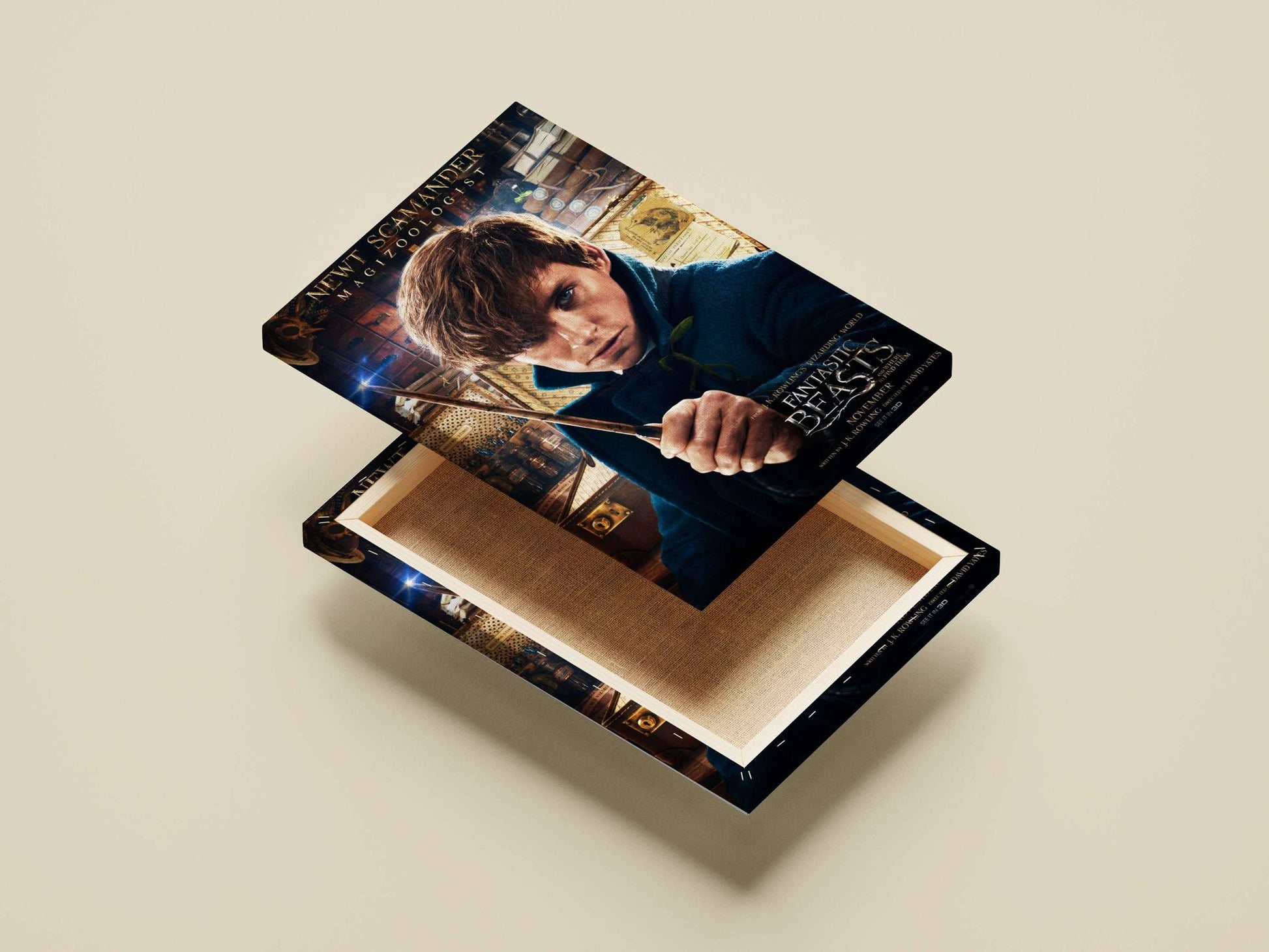 Newt Scamander, a character from the Fantastic Beasts franchise (confirmed by OCR text "NEWT SGAMANDER"