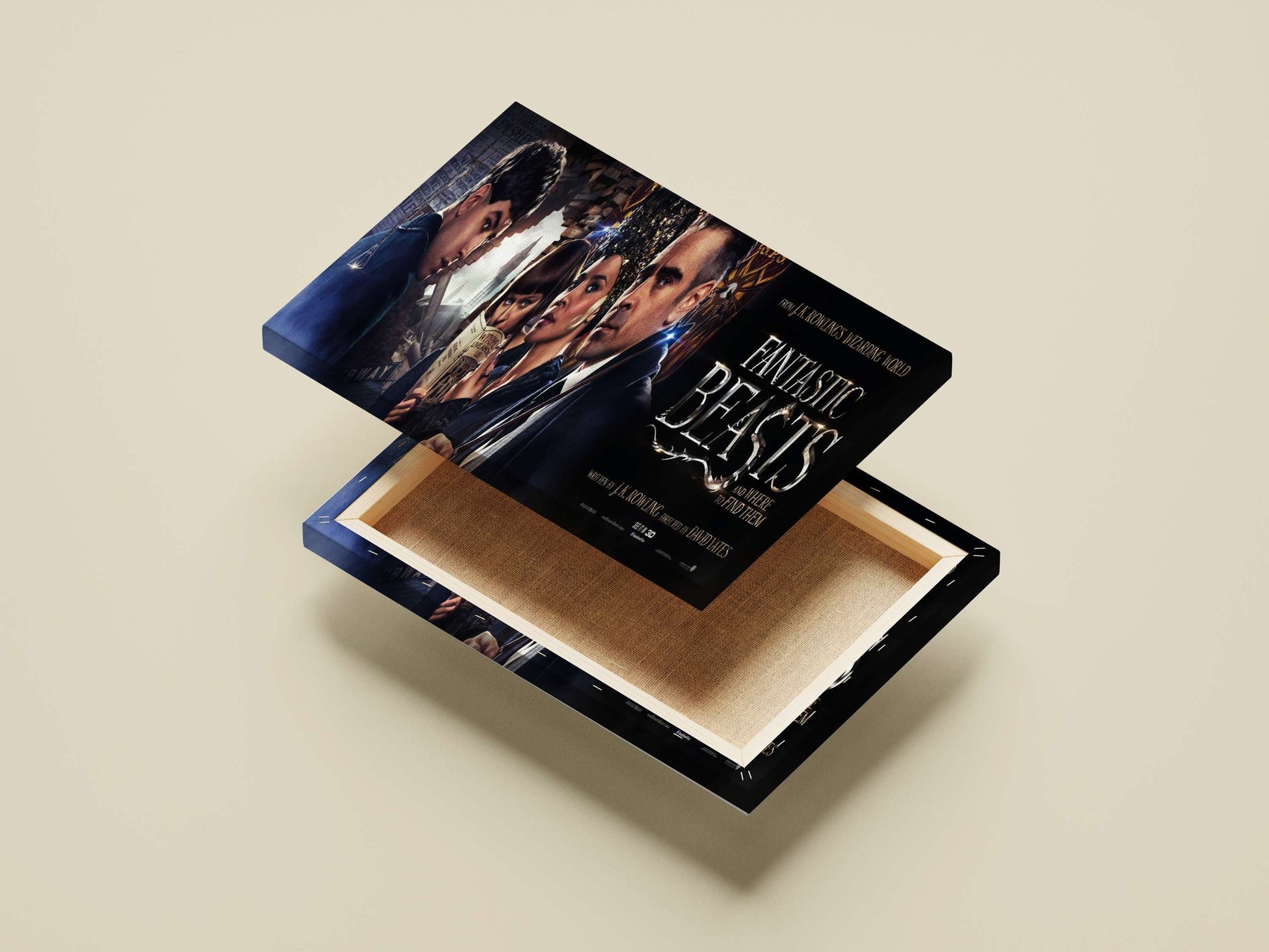 Fantastic Beasts and Where to Find Them (movie from J.K. Rowling's Wizarding World) Newt Scamander