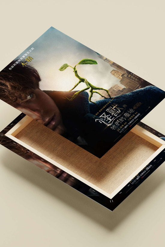 Fantastic Beasts and Where to Find Them (movie) Newt Scamander'S Magical Menagerie - Beasts Poster