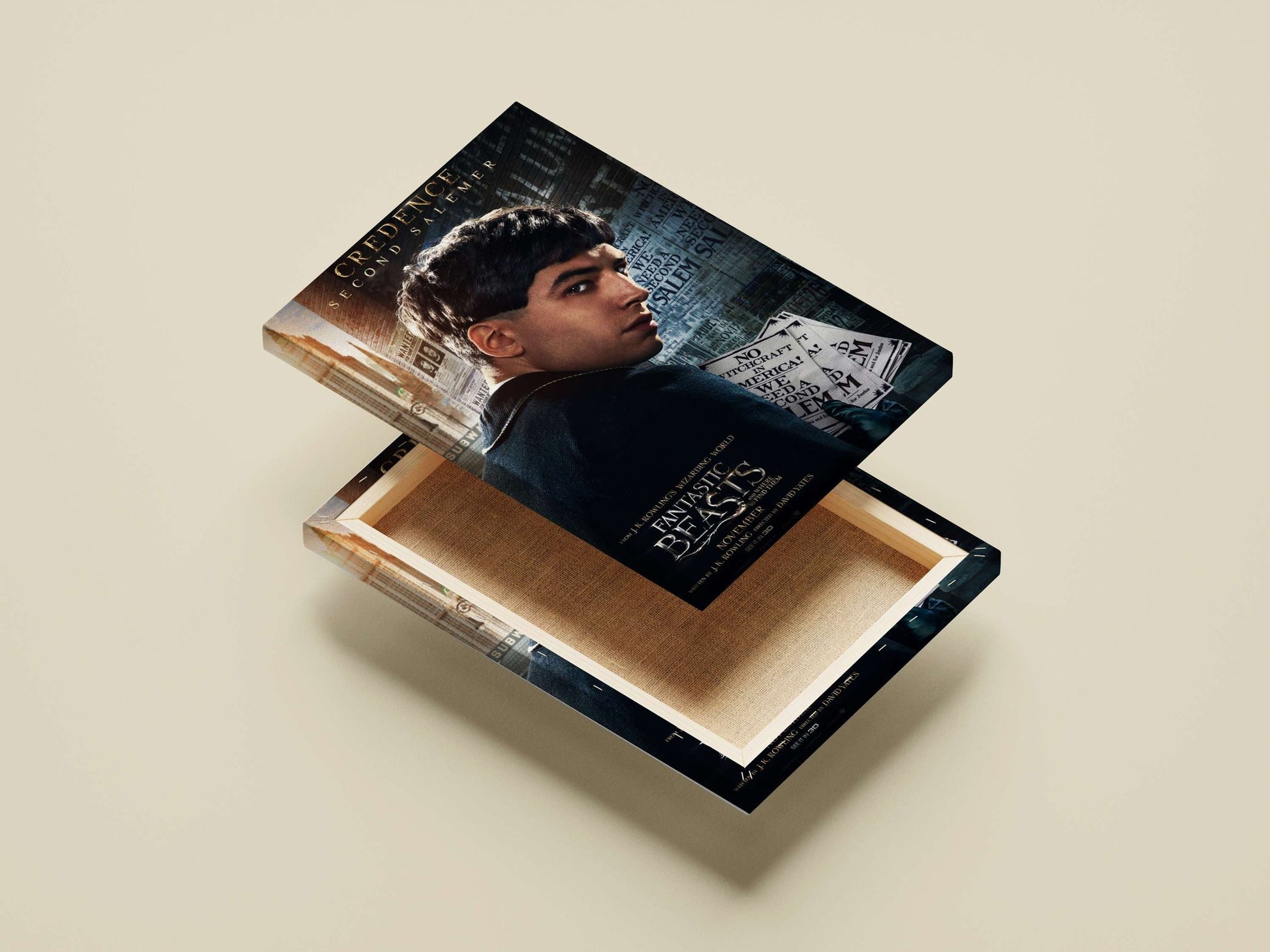 Fantastic Beasts and Where to Find Them Newt Scamander - Wizarding World Poster