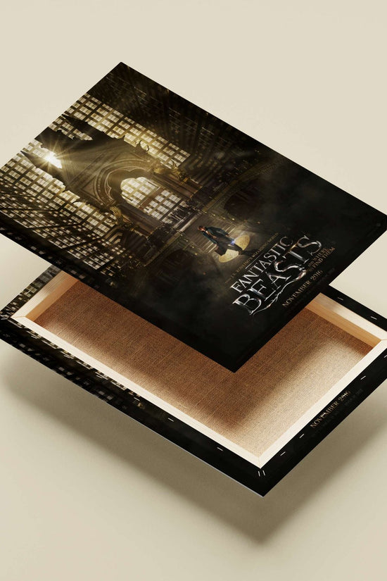 Fantastic Beasts and Where to Find Them (film from J.K. Rowling's Wizarding World) Newt Scamander