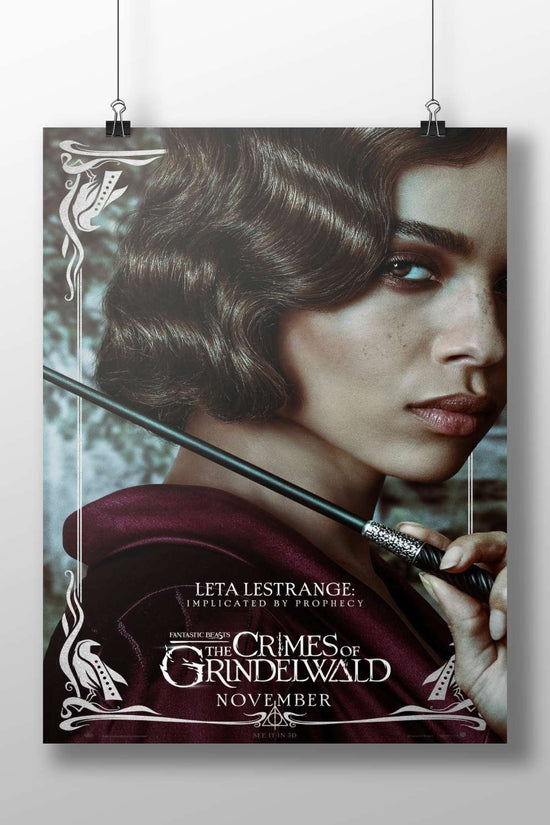 Leta Lestrange from the Fantastic Beasts franchise (specifically "Fantastic Beasts: The Crimes of Grindelwald") Leta