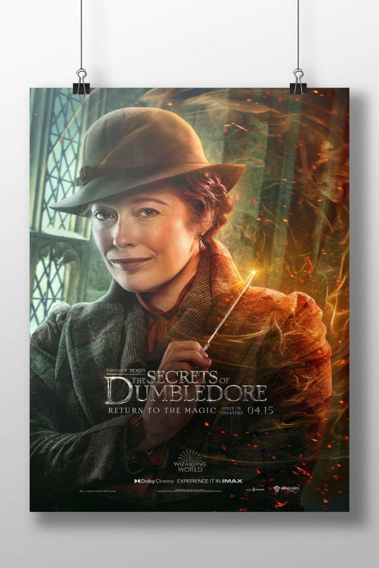 Fantastic Beasts: The Secrets of Dumbledore (Wizarding World franchise) Newt Scamander - Wizarding World Poster