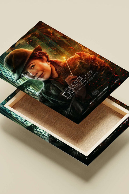 Fantastic Beasts: The Secrets of Dumbledore (Wizarding World franchise) Newt Scamander - Wizarding World Poster