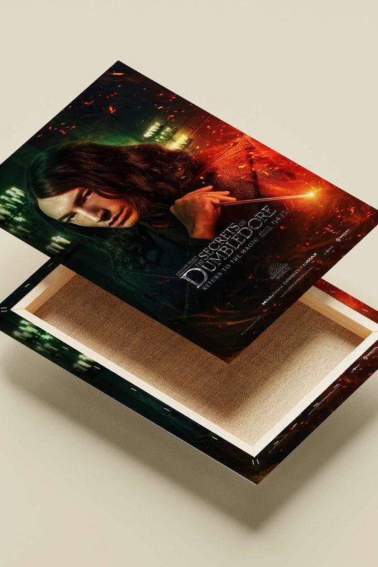 Wizarding World franchise (confirmed by Tesseract OCR text "WIZARDING WORLD") Harry Potter - Forbidden Forest