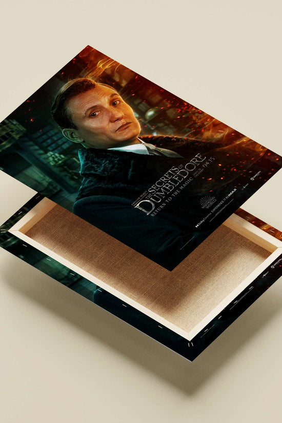 Fantastic Beasts: The Secrets of Dumbledore (Wizarding World franchise) Newt Scamander - Wizardly Wisdom Poster