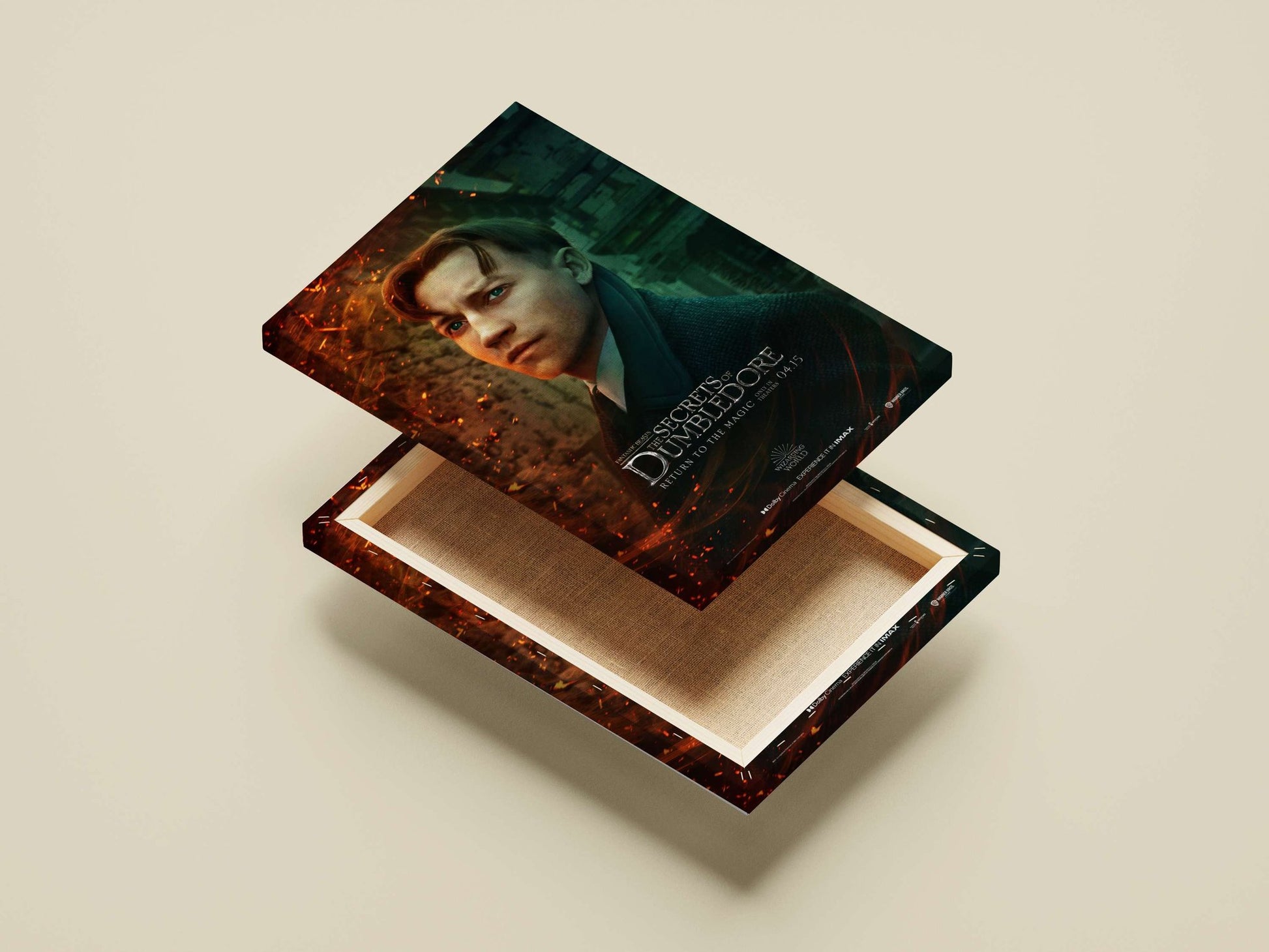 Fantastic Beasts: The Secrets of Dumbledore Albus Dumbledore - Wise Wizard Poster