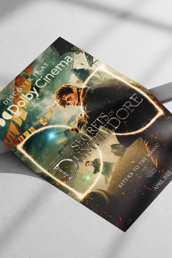 Fantastic Beasts: The Secrets of Dumbledore (film within the Wizarding World franchise) Newt Scamander -