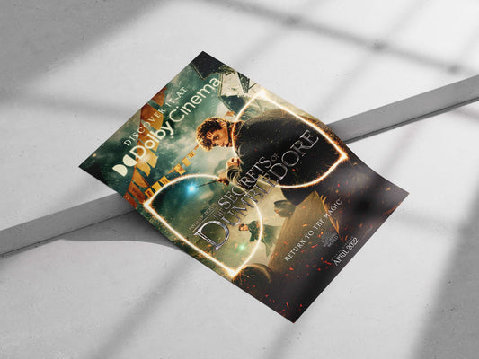 Fantastic Beasts: The Secrets of Dumbledore (film within the Wizarding World franchise) Newt Scamander -