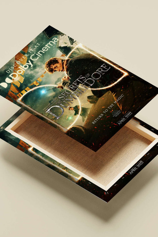 Fantastic Beasts: The Secrets of Dumbledore (film within the Wizarding World franchise) Newt Scamander -
