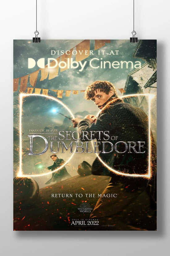 Fantastic Beasts: The Secrets of Dumbledore (film within the Wizarding World franchise) Newt Scamander -