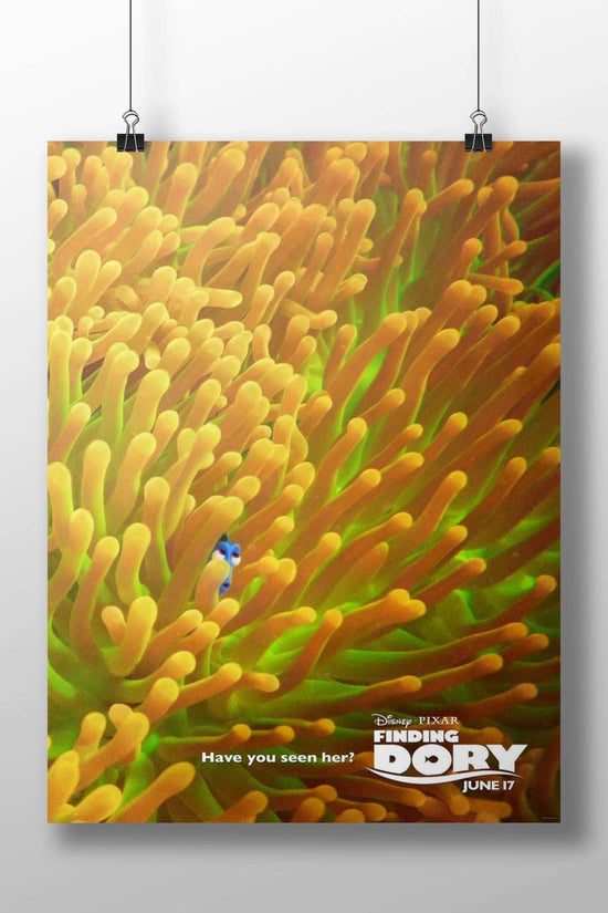 Dory (blue tang fish from Disney·Pixar's "Finding Dory") Main Subject: Dory (blue tang fish from Disney·Pixar's "Finding