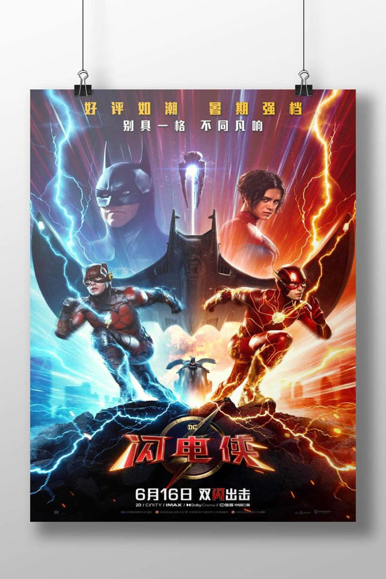 DC Comics characters including The Flash (Barry Allen), Batman (Bruce Wayne), and others from the DC Universe franchise.