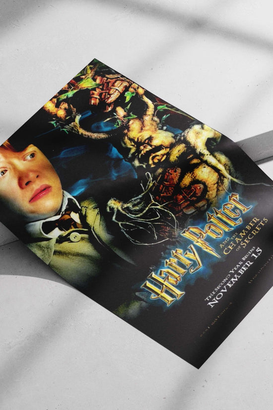 Harry Potter and the Chamber of Secrets Main Subject: Harry Potter and the Chamber of Secrets Matte poster print — Anime
