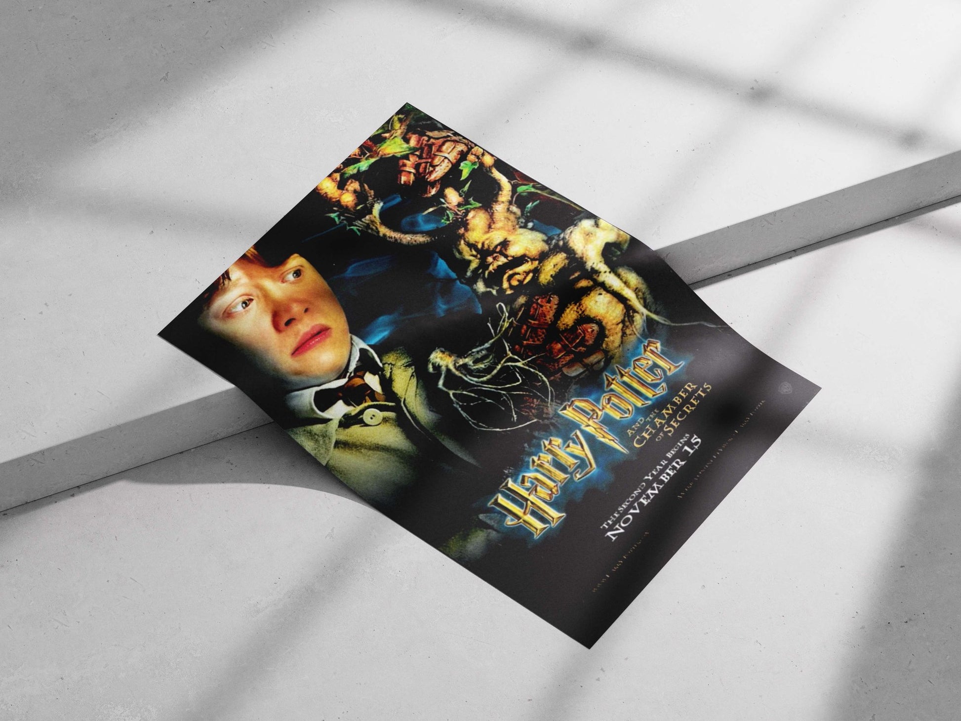 Harry Potter and the Chamber of Secrets Main Subject: Harry Potter and the Chamber of Secrets Matte poster print — Anime