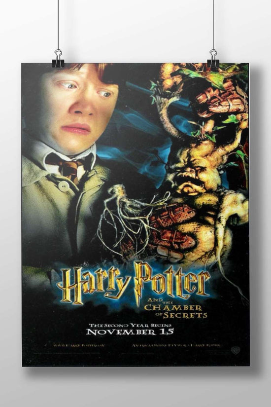 Harry Potter and the Chamber of Secrets Main Subject: Harry Potter and the Chamber of Secrets Matte BoizzBoard rigid print —