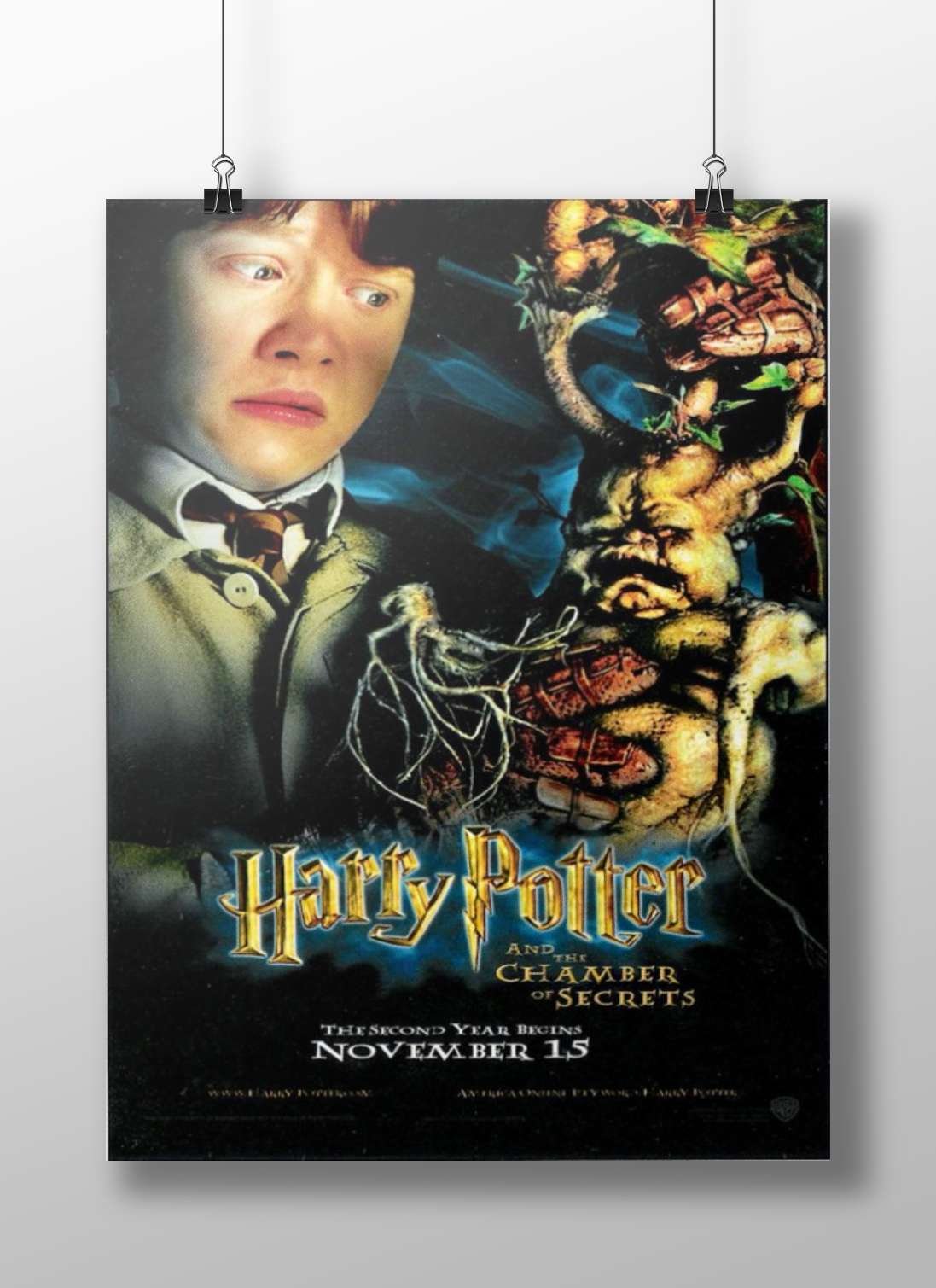 Harry Potter and the Chamber of Secrets Main Subject: Harry Potter and the Chamber of Secrets Matte BoizzBoard rigid print —