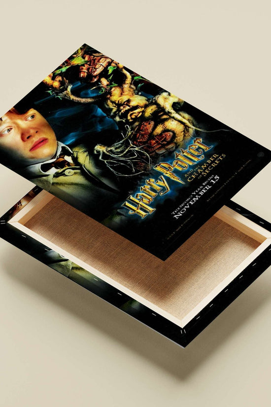 Harry Potter and the Chamber of Secrets Main Subject: Harry Potter and the Chamber of Secrets Canvas wall art — Anime wall