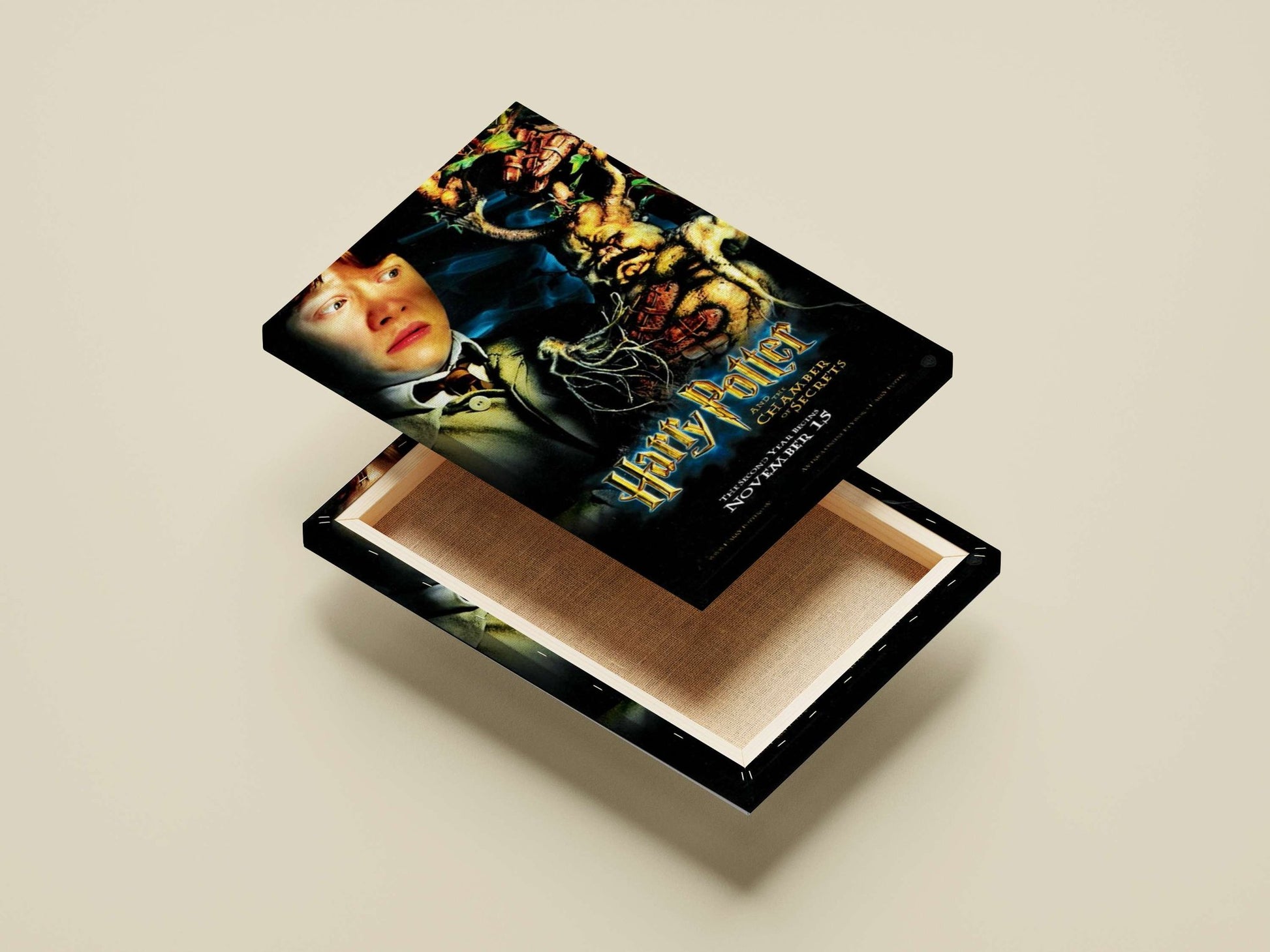 Harry Potter and the Chamber of Secrets Main Subject: Harry Potter and the Chamber of Secrets Canvas wall art — Anime wall