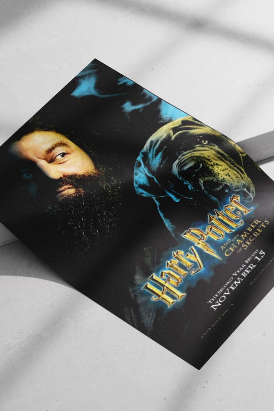 Harry Potter and the Chamber of Secrets Main Subject: Harry Potter and the Chamber of Secrets Matte poster print — Anime