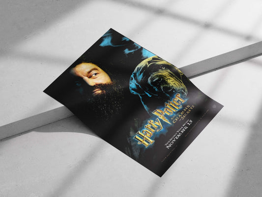 Harry Potter and the Chamber of Secrets Main Subject: Harry Potter and the Chamber of Secrets Matte poster print — Anime