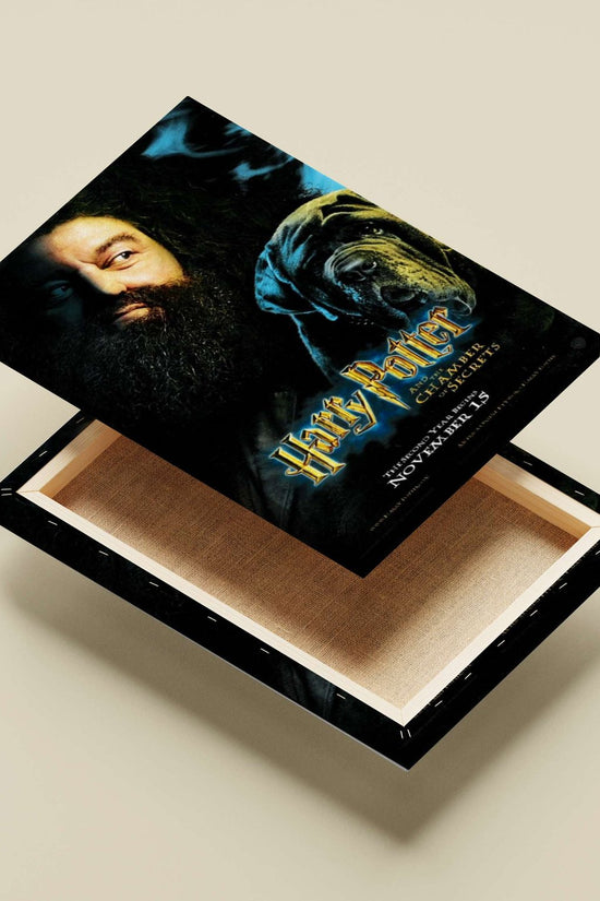Harry Potter and the Chamber of Secrets Main Subject: Harry Potter and the Chamber of Secrets Canvas wall art — Anime wall